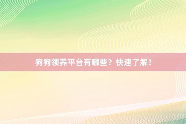 狗狗领养平台有哪些？快速了解！