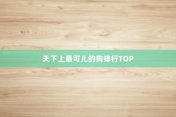 天下上最可儿的狗排行TOP
