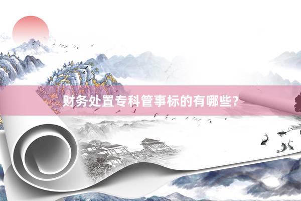 财务处置专科管事标的有哪些？