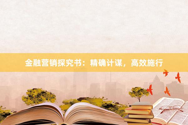 金融营销探究书：精确计谋，高效施行